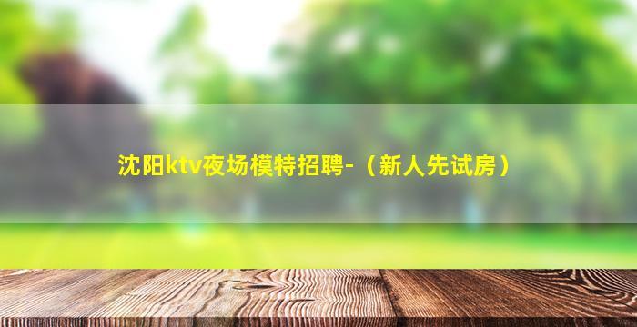 沈阳ktv夜场模特招聘-（新人先试房）